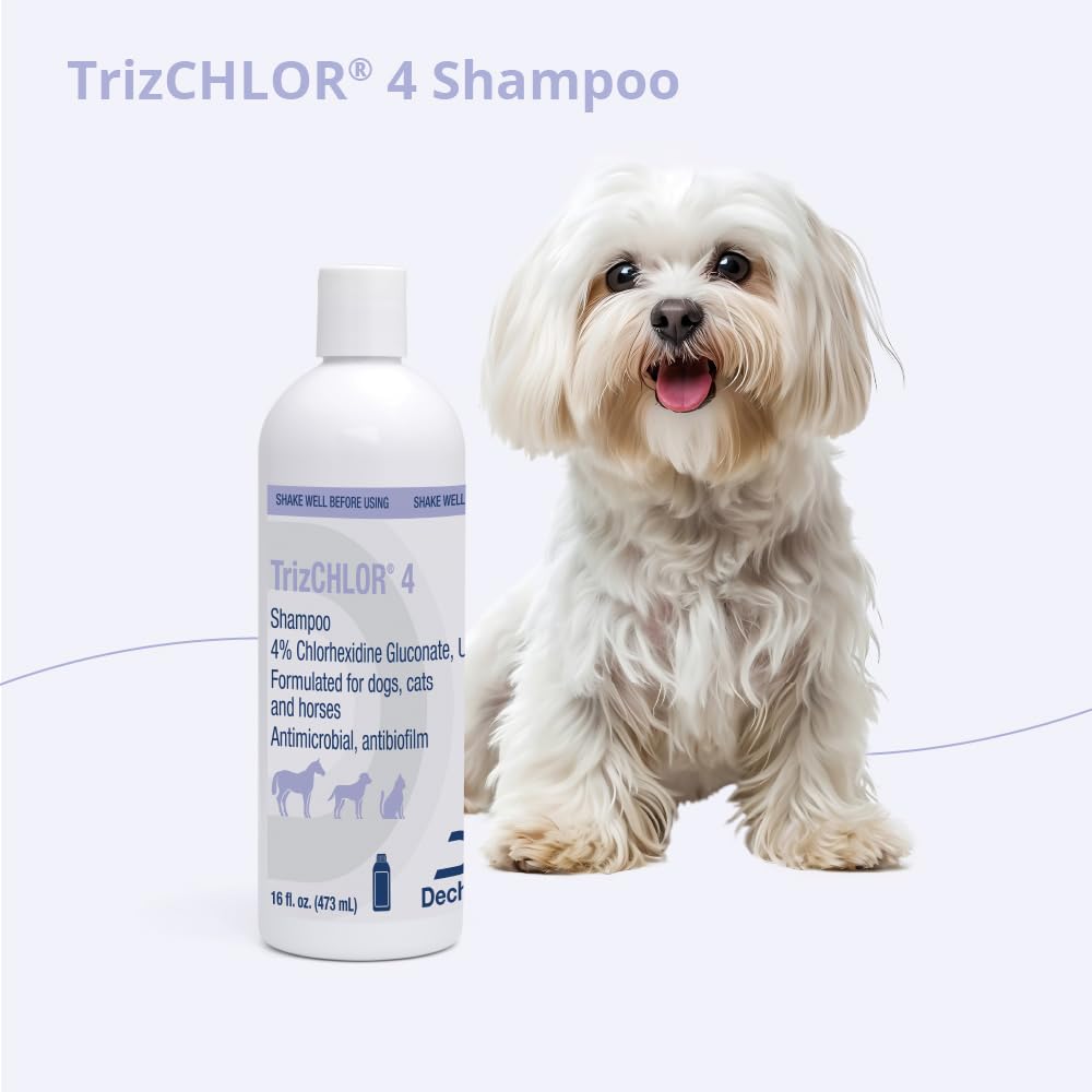 Shampoo for Dogs, Cats and Horses, 16 Ounce K660284