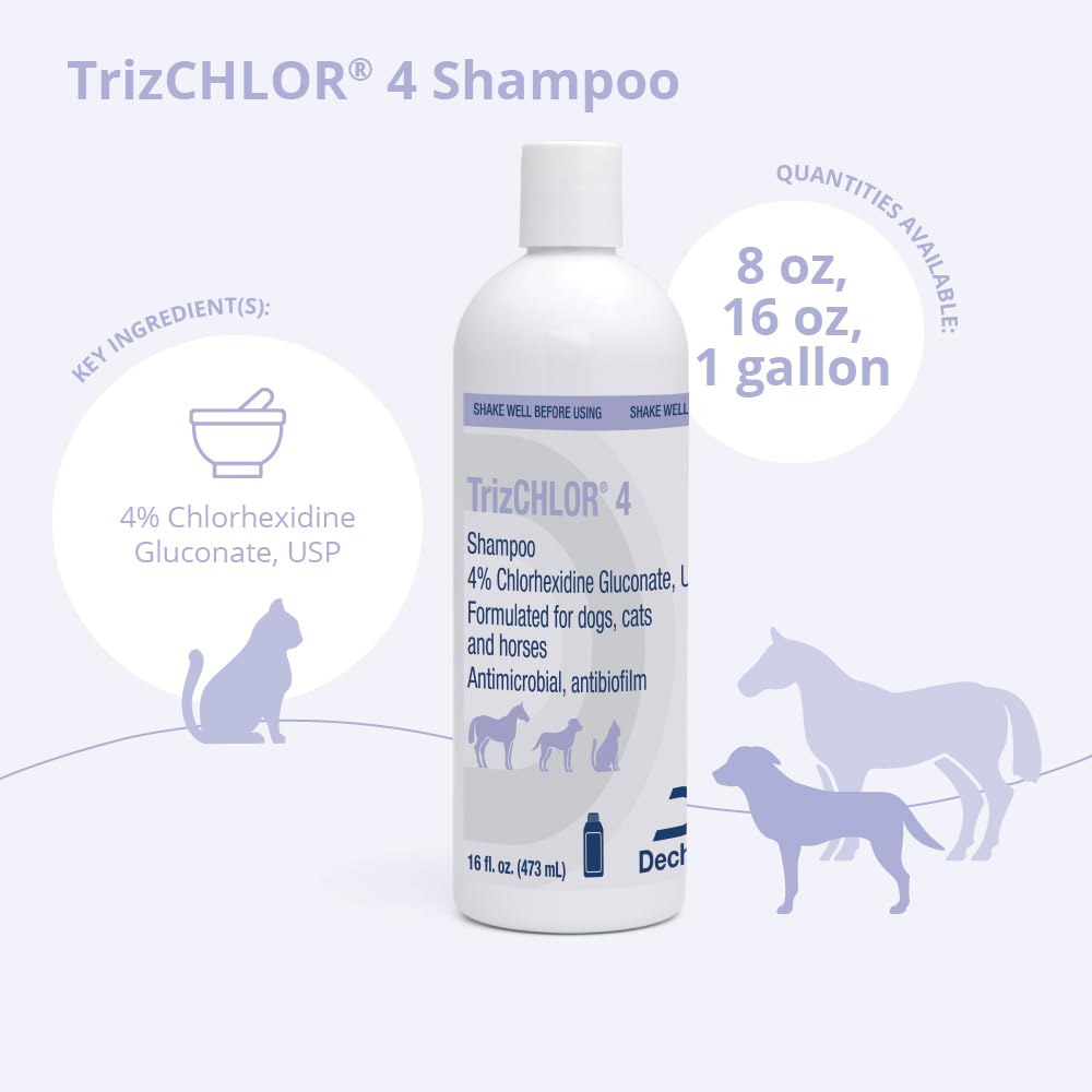 Shampoo for Dogs, Cats and Horses, 16 Ounce K660284