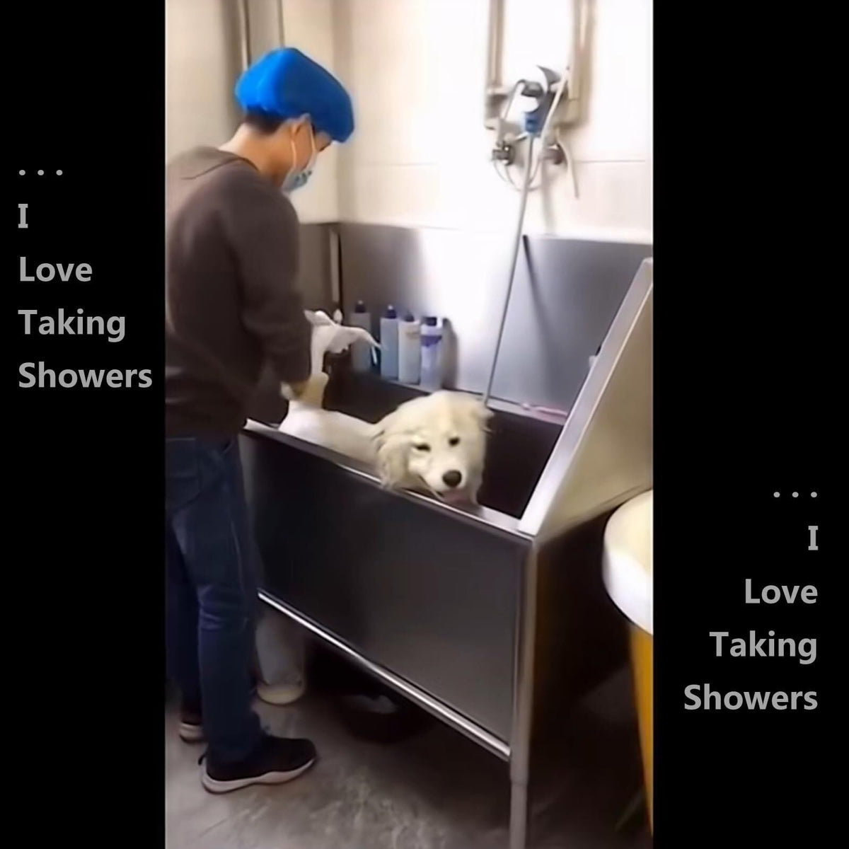 Stainless Steel Pet Grooming Bath Tub Y6327