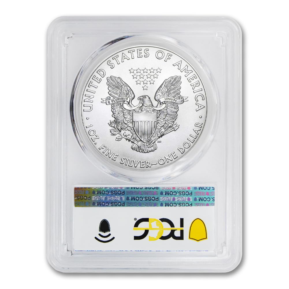 1 oz American Silver Eagle Coin MS-70 A4739