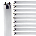 24 Inch T8 Fluorescent Tube Light Bulb 17W 2700K Warm White G13 Bi-Pin Base Pack of 10 H4336