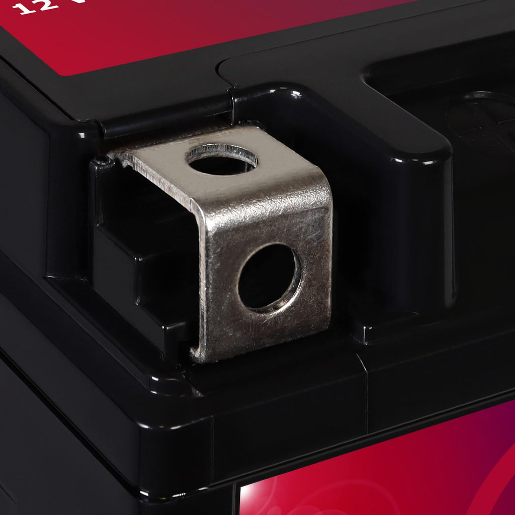 12V 11.2Ah Battery T5176