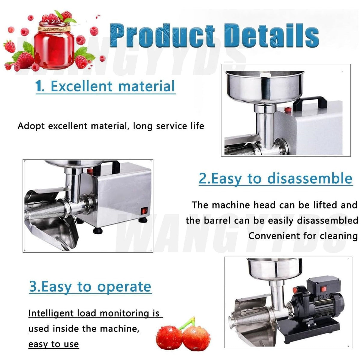 450W Stainless Steel Tomato Strainer W8307