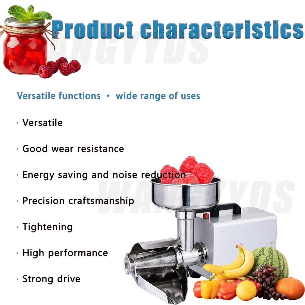 450W Stainless Steel Tomato Strainer W8307