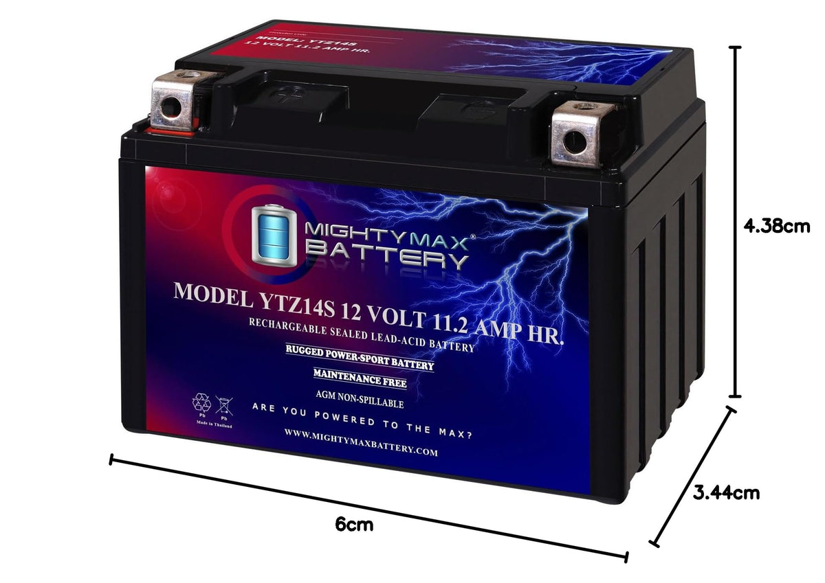 12V 11.2Ah Battery T5176
