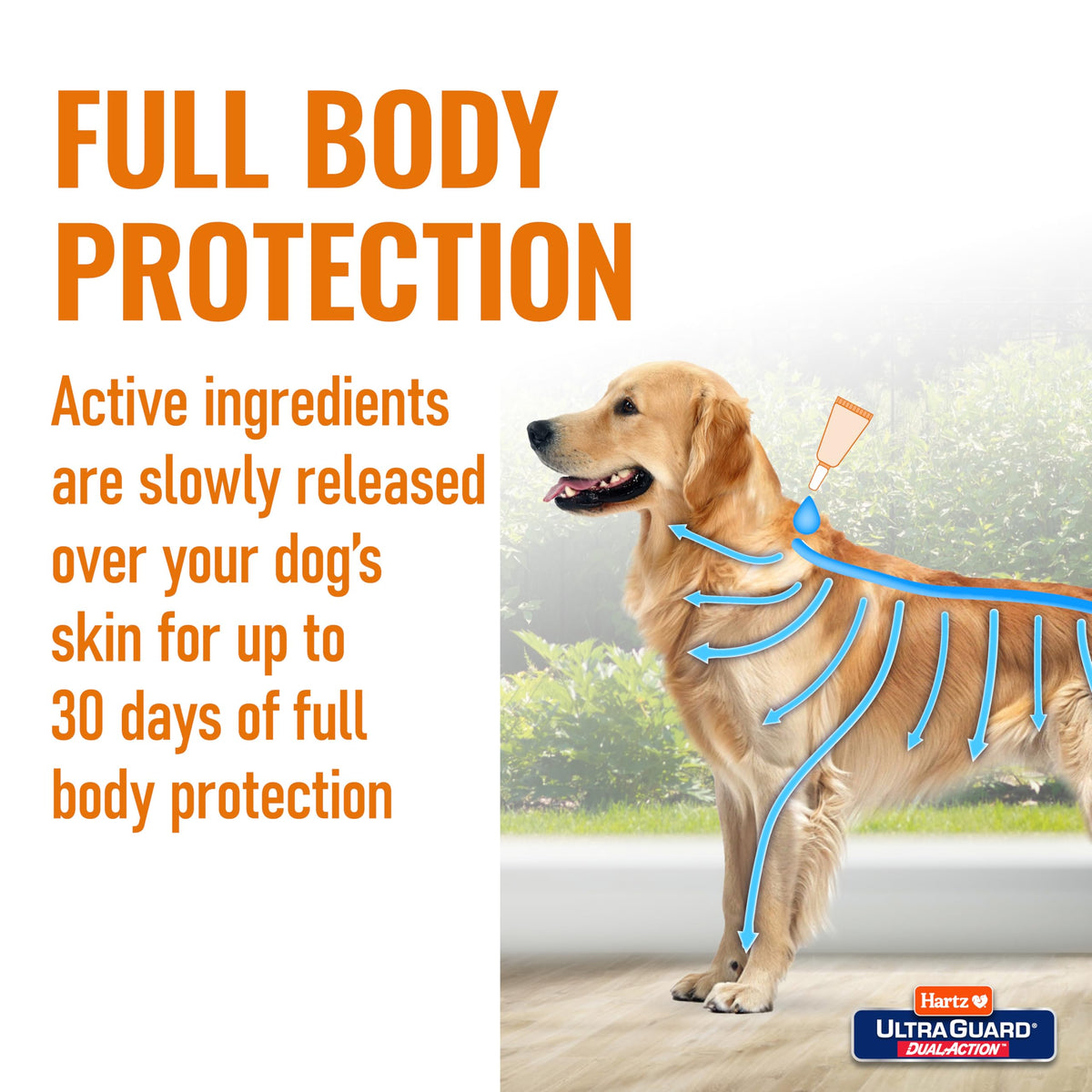 Flea & Tick Treatment for Dogs and Puppies 31-60lbs 3 Monthly Treatments M3256