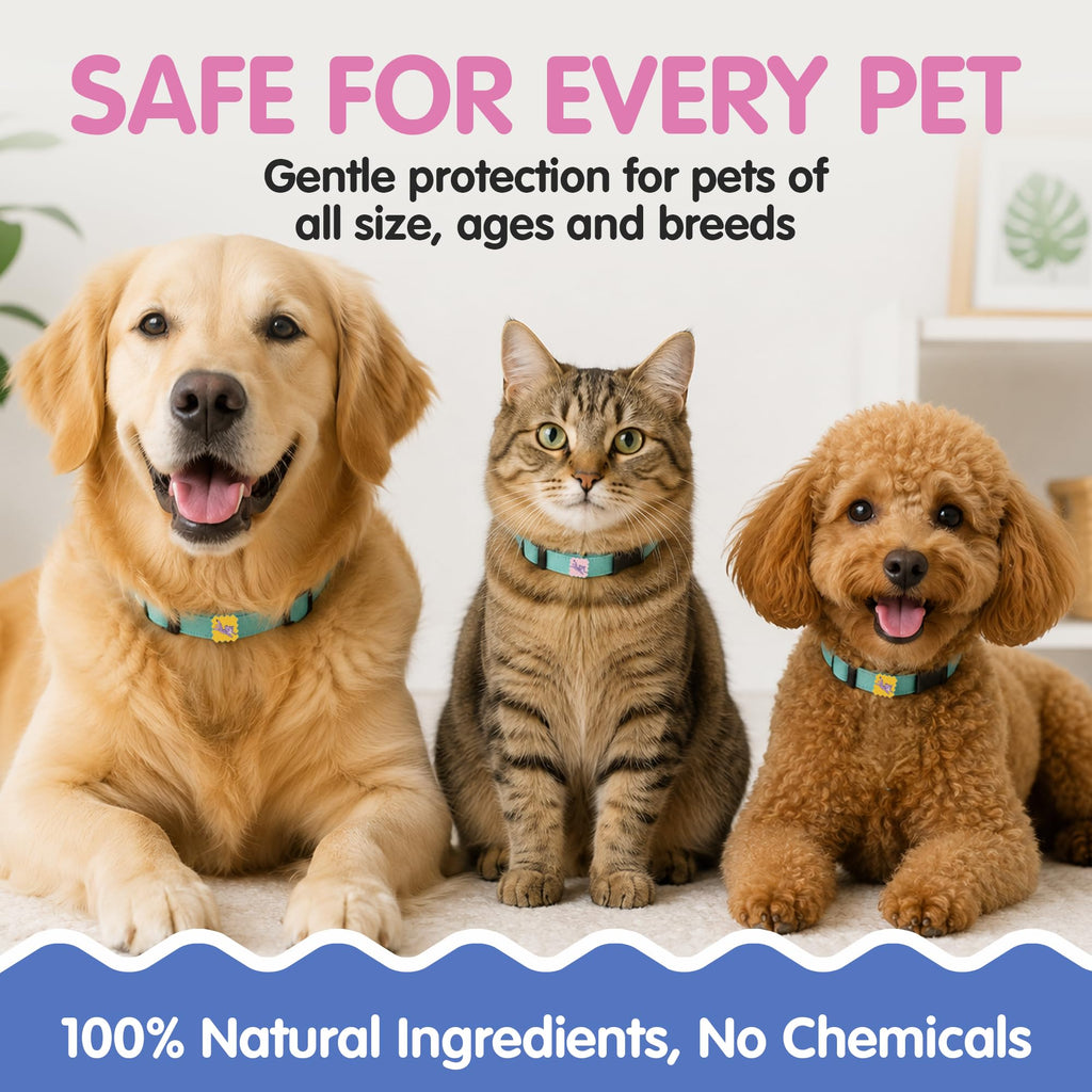 Tick Repellent Pet Patches for Dogs and Cats, 48 Count C413