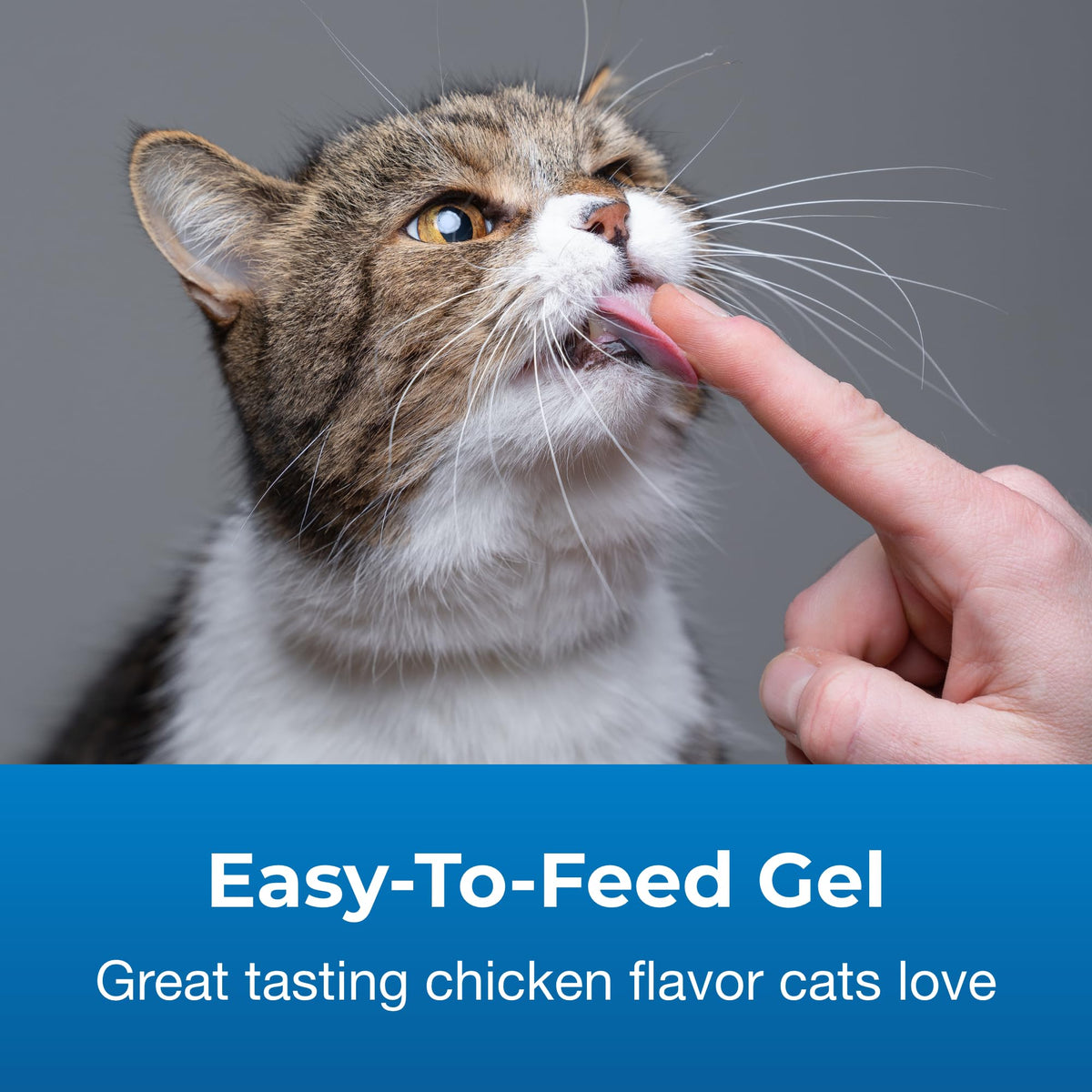 Hairball Solution Gel Supplement for Cats 3.5 oz Pack of 2 M963