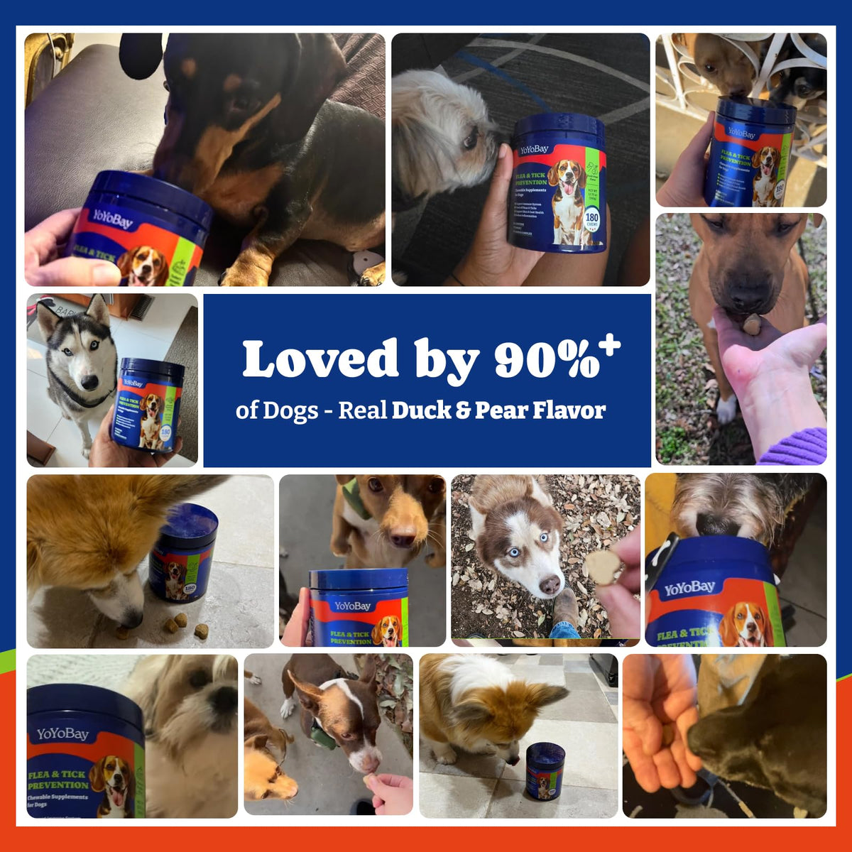 Dog Flea & Tick Prevention Chewables R176521