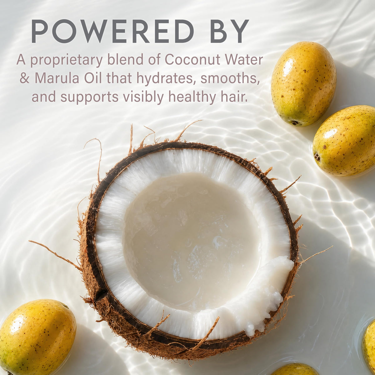 Coconut Water Based Moisturizing Hair Shampoo & Conditioner Set U493