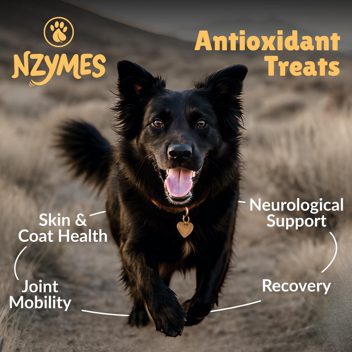 Antioxidant Dog Treats, 180 Count R70603